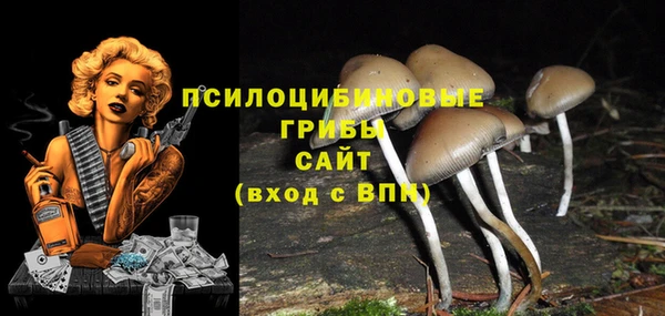 PSILOCYBIN Ступино