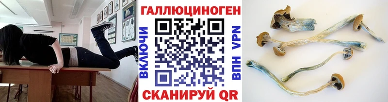 Галлюциногенные грибы Psilocybine cubensis  Боровск 